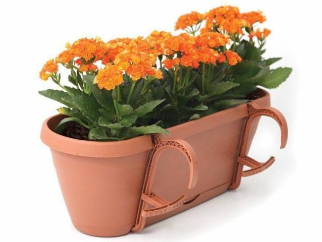 Горшок-цветочница EDEN коричневый