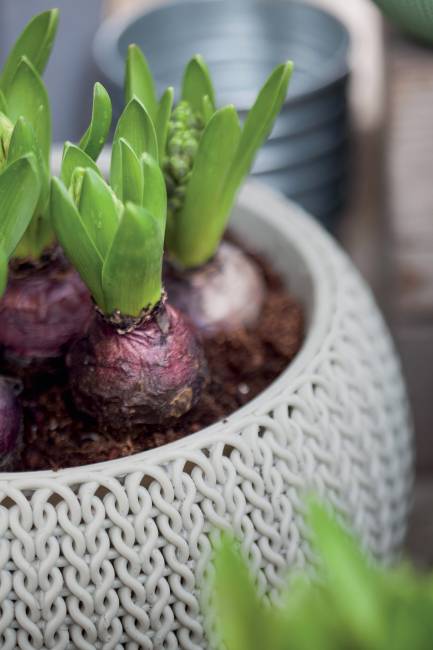 Кашпо Cozies S подвесное коричневый