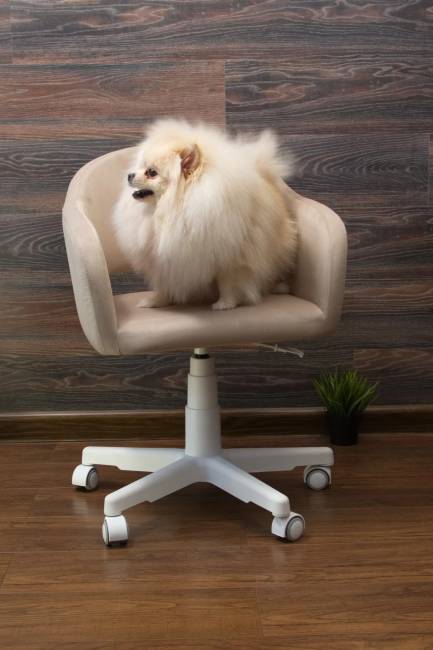 Кресло Бабби белый / бежевый Кресло Бабби белый / бежевый