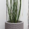 Кашпо Cylinder Planter М 