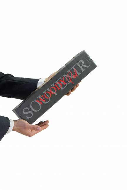 Накладка на диван П 7 венге Накладка на диван П 7 венге