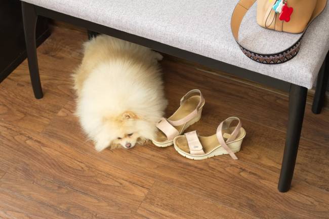 Банкетка Лина, мягкая, Венге/Серый