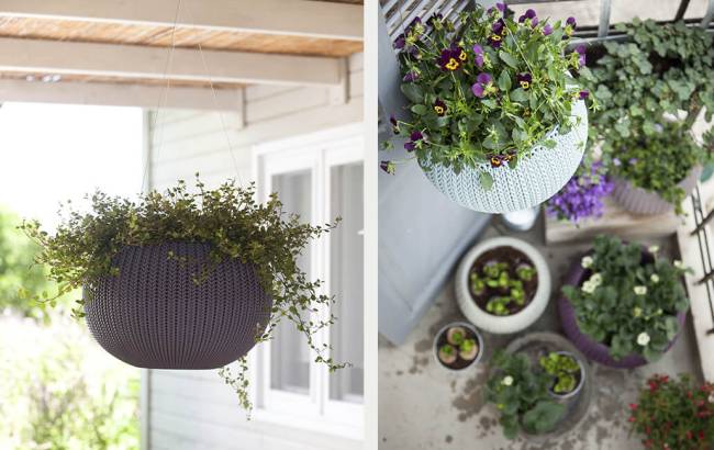 Кашпо Cozies S  подвесное Violet 610