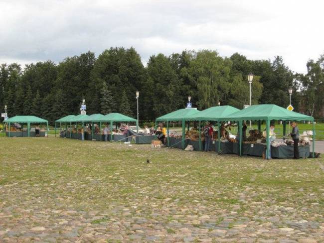 Шатер Митек 3х6 м без стенок (2 места) Шатер Митек 3х6 м без стенок (2 места)