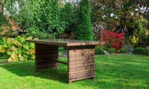 Обеденный стол FIONA в коричневом цвете